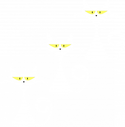 Kot biały sztuk trzy