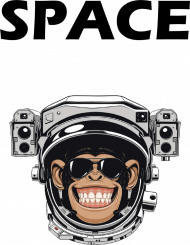 Space monkey koszulka WB