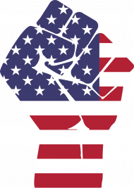 Koszulka Fist USA