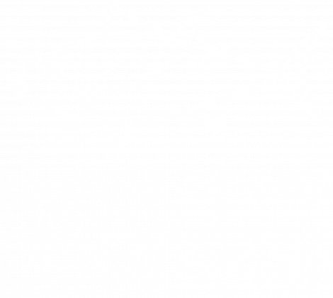 Bluza Toończyk
