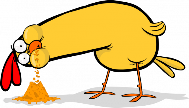 Koszulka z kurczakiem