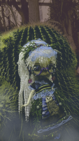 Kaktus