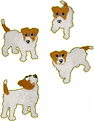 Jack Russel Terrier