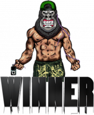 Gorilla Winner