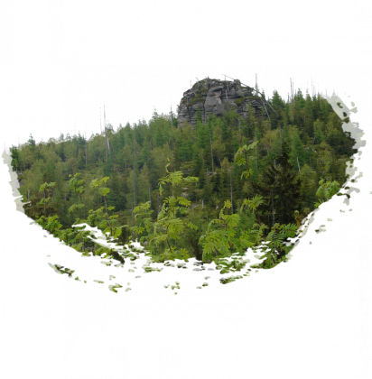 Koszulka I love nature