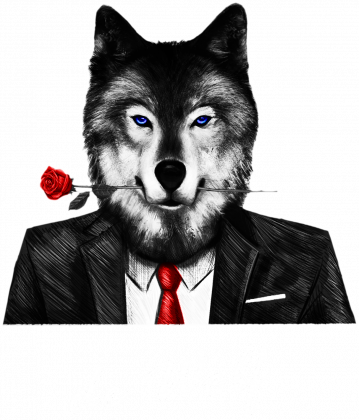 Bluza de Wolf