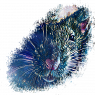 Galaxy Rat