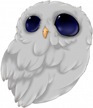 Cutie Owl