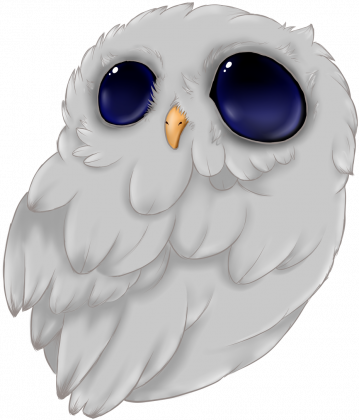 Cutie Owl