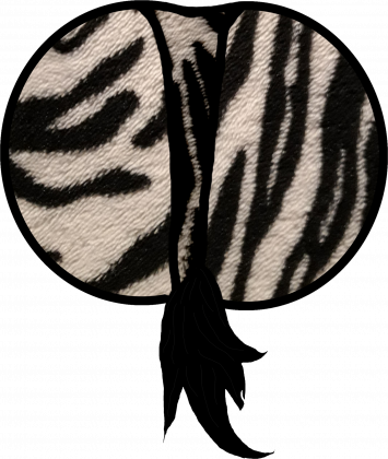 Zebra i z klasą!