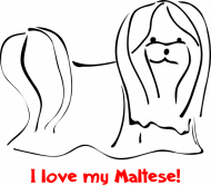 I love my maltese