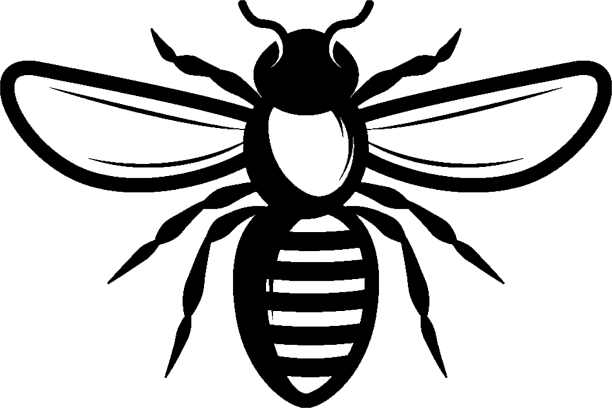 torba damska Japan Express