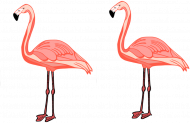 Klapki na basen Flamingi