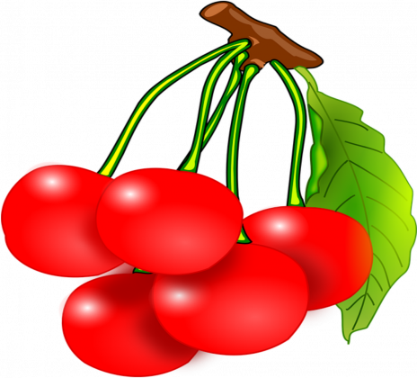 Owoce wiśnia