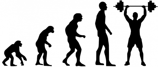 Ewolucja człowieka fitnes
