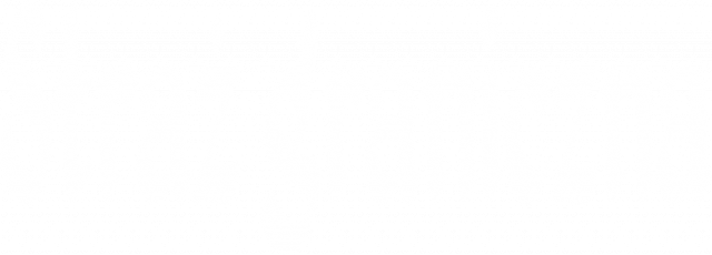 Koszulka straż graniczna