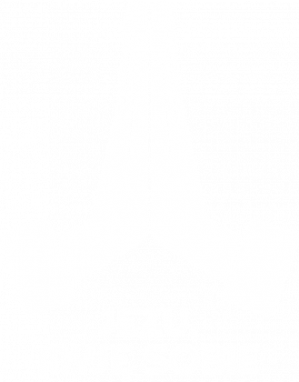 Koszulka Myję Sobie Białe