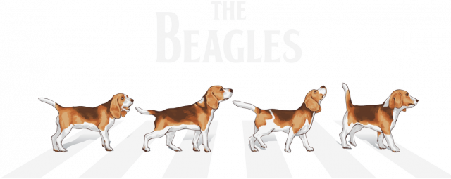 Koszulka męska - The Beagles