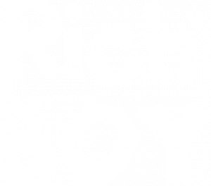RICH BOY - nadruk