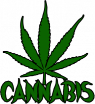 Bluza "Cannabis"