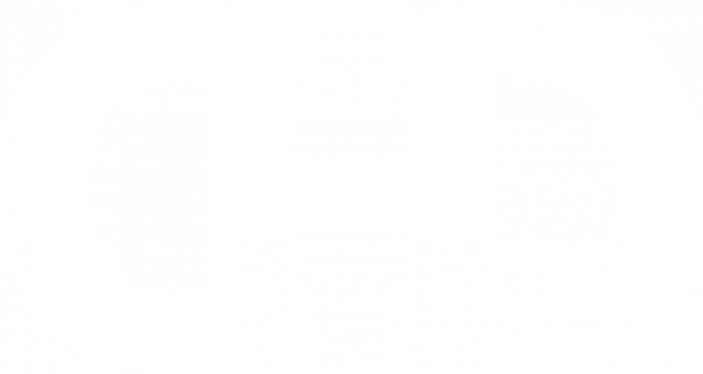 Bluza DHD logo (czarna)