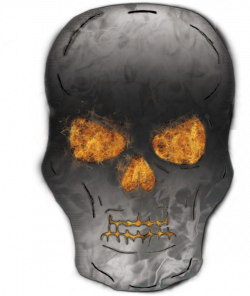 Bluza Fire Skull