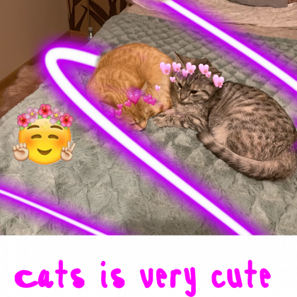 Cats is very cute