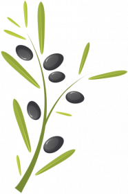 Fartuch z gałązką oliwną