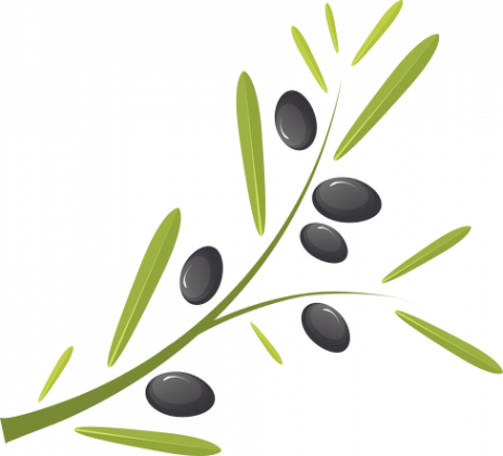 Koszulka polo męska z gałązką oliwną