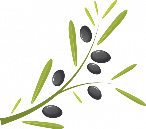 Torba z gałązką oliwną
