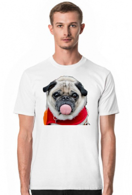 dog mops - MatCar
