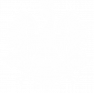 T-shirt Męski Polska Duma Orzeł Biały