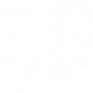 Bluza Męska Polska Duma Orzeł Biały