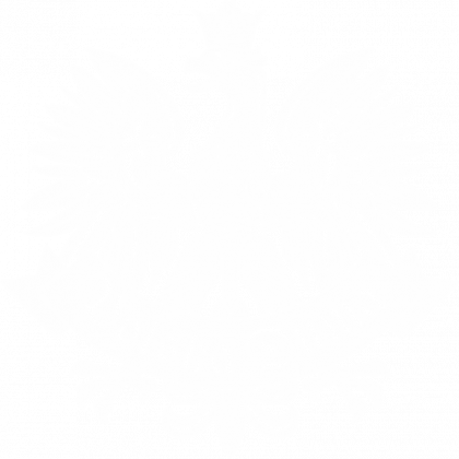 T-shirt Chłopięcy Polska Duma Orzeł Biały