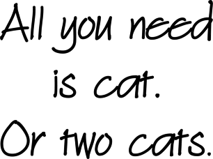 Kubek ALL YOU NEED IS CAT