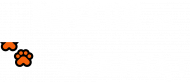 KOSZULKA MĘSKA Z NAPISEM INSPEKTOR