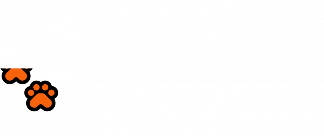 KOSZULKA DAMSKA Z NAPISEM Inspektor