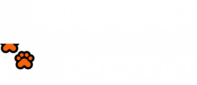 KOSZULKA MĘSKA Z NAPISEM INSPEKTOR