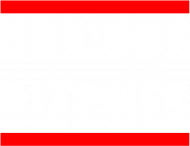 Bonjour bitches - koszulka damska