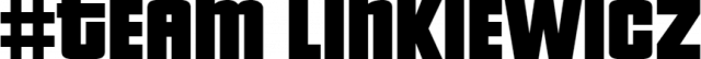 KOSZULKA TEAM LINKIEWICZ