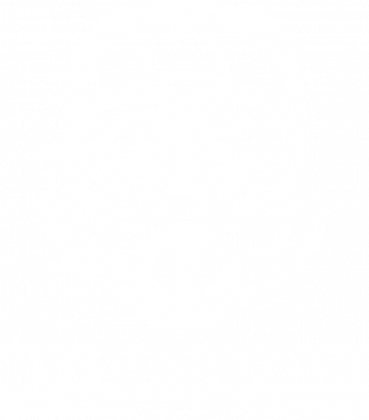 Oficjalna bluza | DZIKIE DZIKI