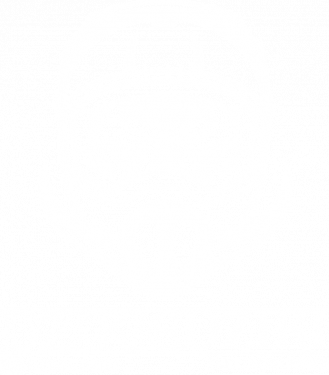 Oficjalny t-shirt | DZIKIE DZIKI