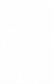 White anguis classic logo