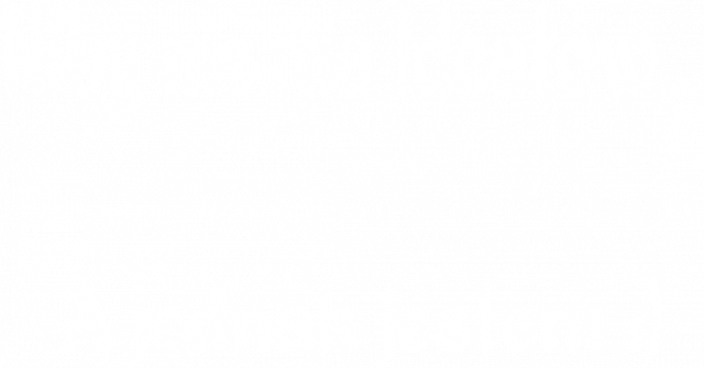 Bluza Ideał