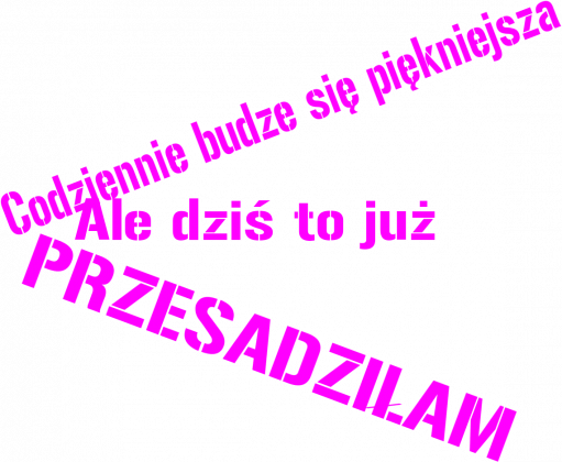 Bluza Piękniejsza