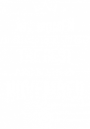 Urodzony w urodziny - All Women are equal but only the best are born in November - Listopad - idealne na prezent - koszulka damska