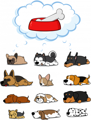 Psy śnią o kości w czerwonej misce - pies - sen - uroczy - słodki - szczeniak - torba