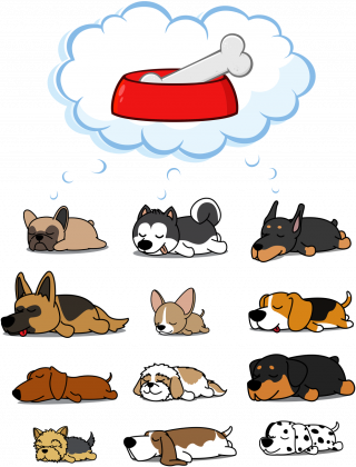 Psy śnią o kości w czerwonej misce - pies - sen - uroczy - słodki - szczeniak - męska koszulka