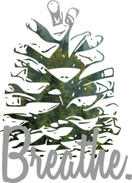 Koszulka amska breathe.