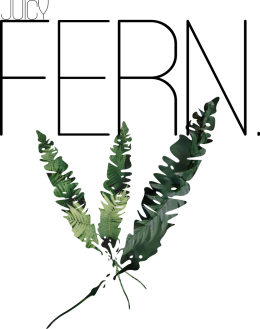 Koszulka damska juicy fern.